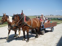 /album/fotogaleria/tabor-014-jpg/